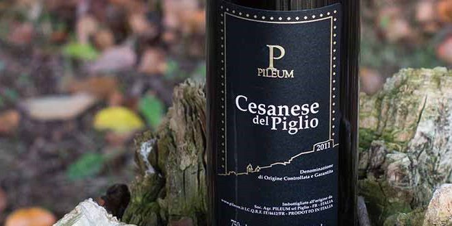 Le Strade del vino nel Lazio - Il Cesanese - Piglio